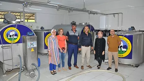 Sarayönü süt üreticilerine AB desteği