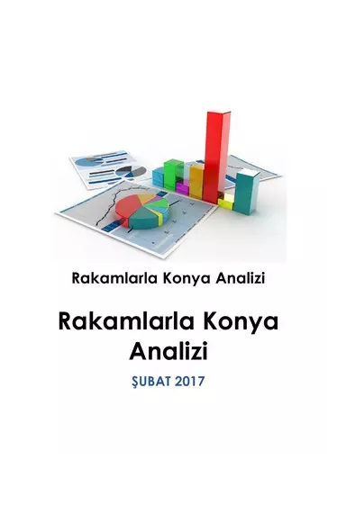 Rakamlarla Konya Analizi Şubat 2017